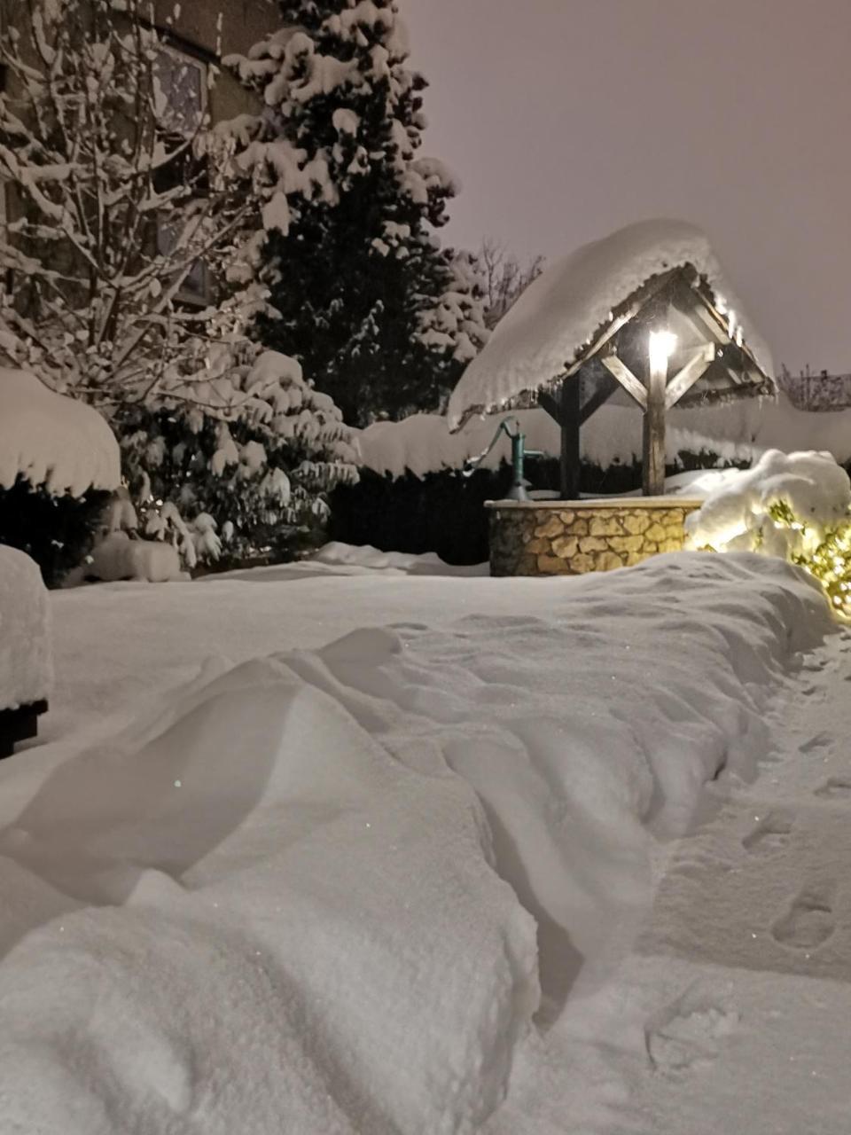 Hotel Petri 뮌헨 외부 사진